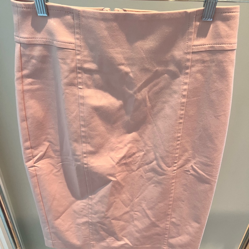 Ann Taylor Blush Pencil Skirt